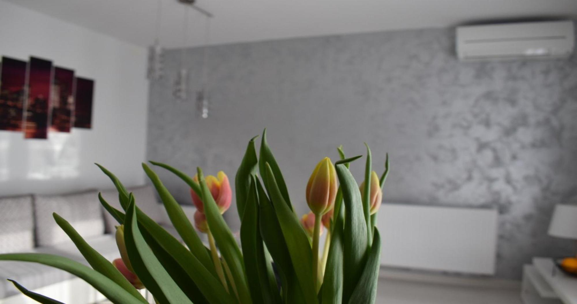 Apartmani Foresta Kras Kültér fotó