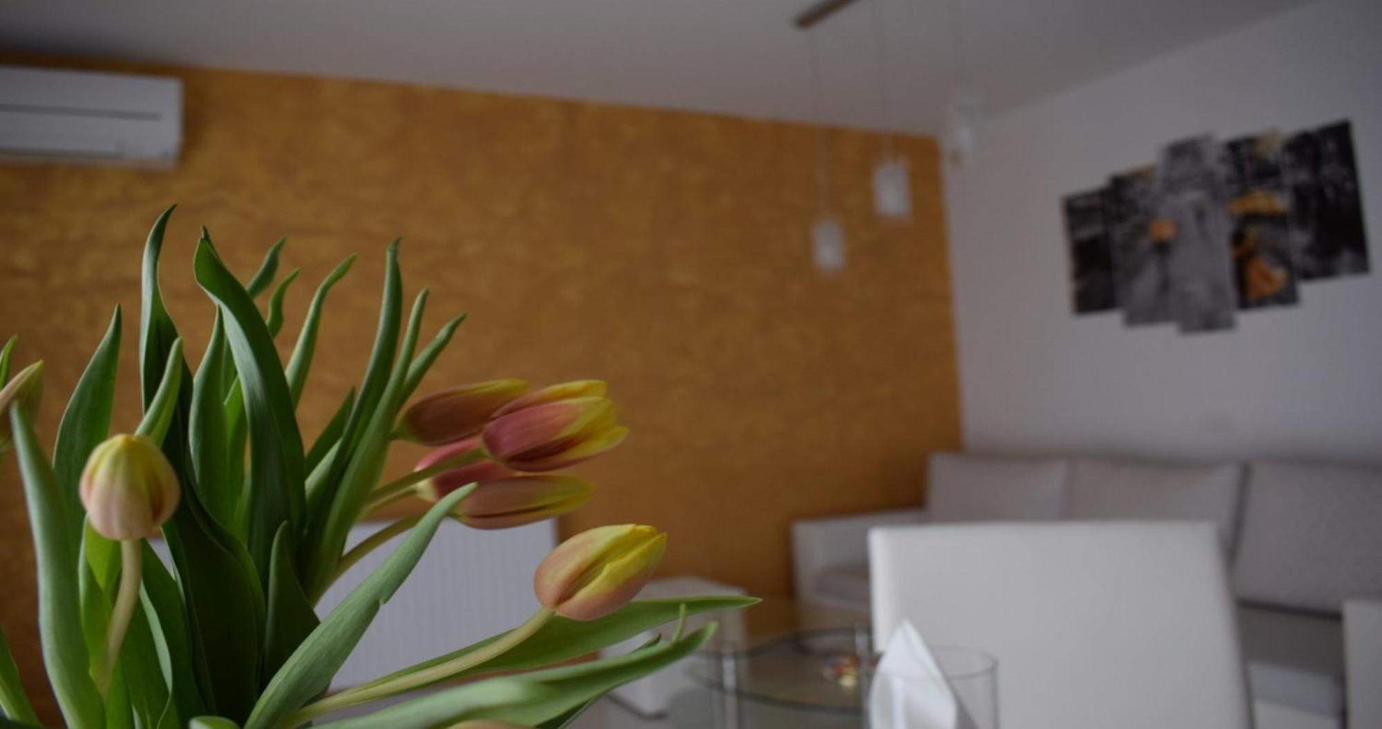 Apartmani Foresta Kras Kültér fotó